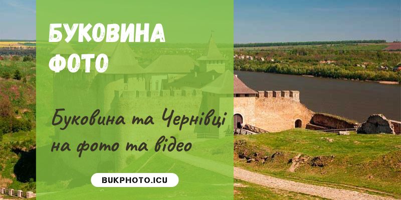 cvNews bukphoto