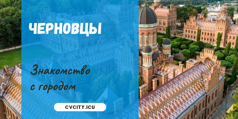 cvInfo cvcity